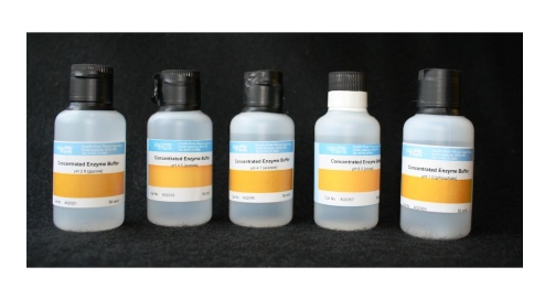 Concentrated Enzyme Buffer pH 2.8