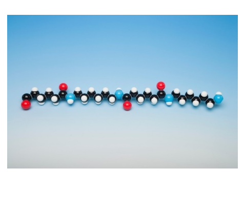 Molecular Model Nylon 6.6