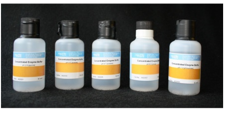 Concentrated Enzyme Buffer pH 7.0