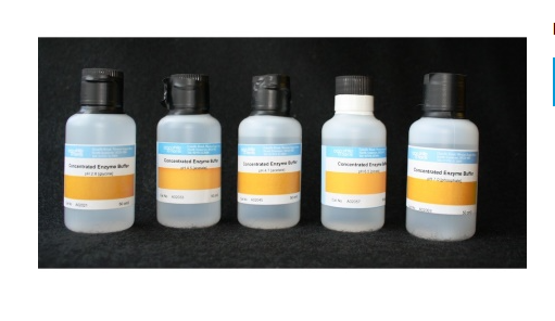 Concentrated Enzyme Buffer pH 6.5